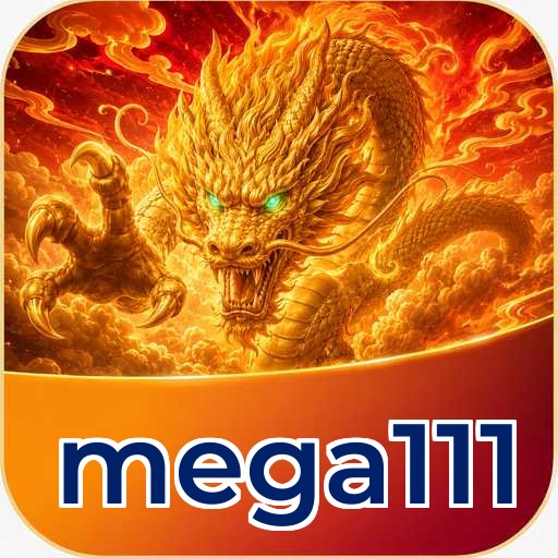 Developer Info mega111
