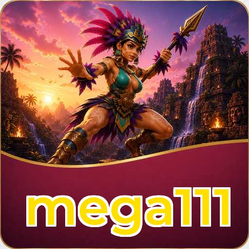 Privacy & Security mega111