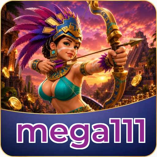 Troubleshooting - mega111 Optimization Tips